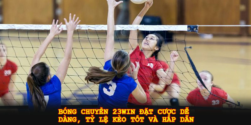 Bóng chuyền 23win đặt cược dễ dàng, tỷ lệ kèo tốt và hấp dẫn